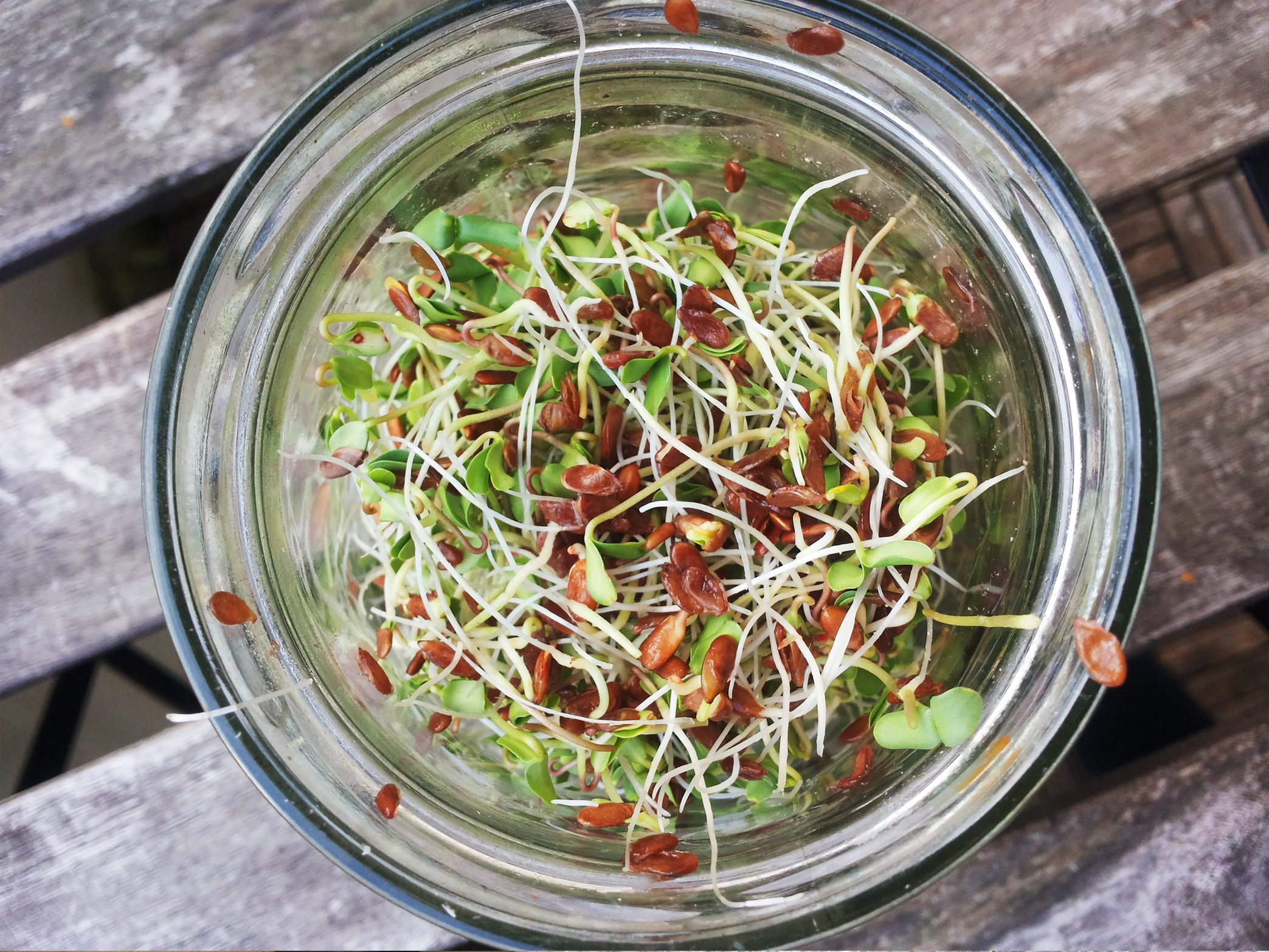 Leinsamen ? Das regionale Superfood