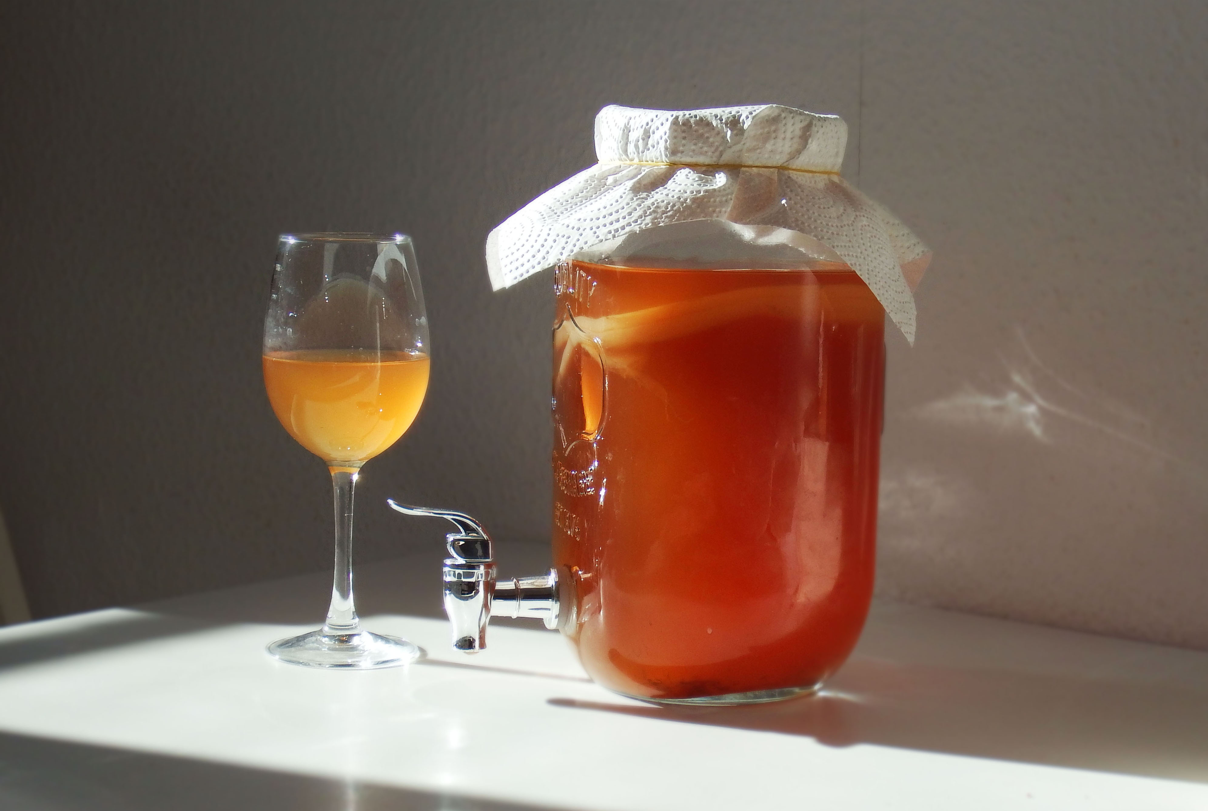 Kombucha – Grundrezept Erstfermentation