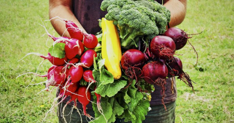 Fernausbildung Ernährungsberatung – Teil 2