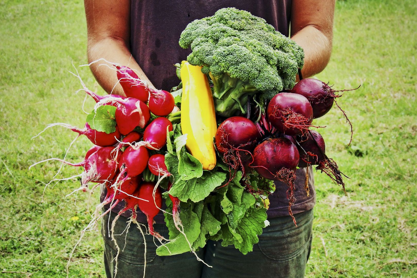 Fernausbildung Ernährungsberatung – Teil 2